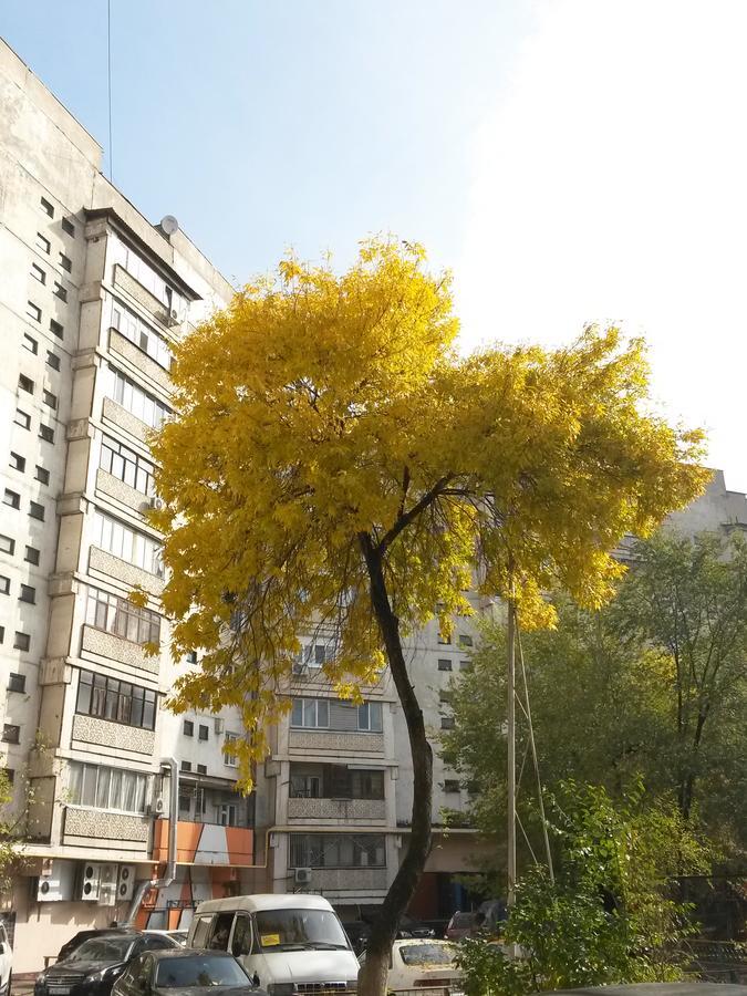 "Арбат" Центр Квартира- Apartment "Arbat" 阿拉木图 外观 照片
